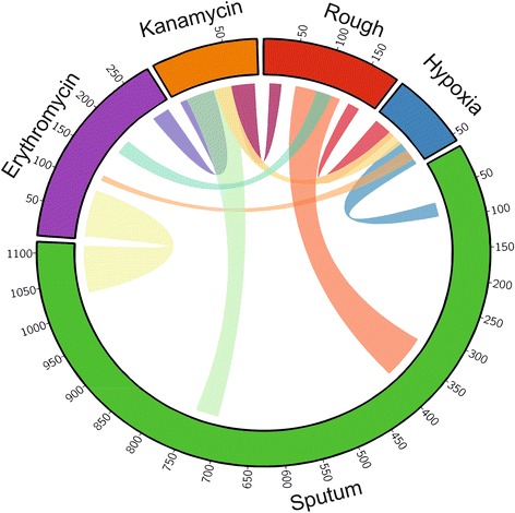 Fig. 4