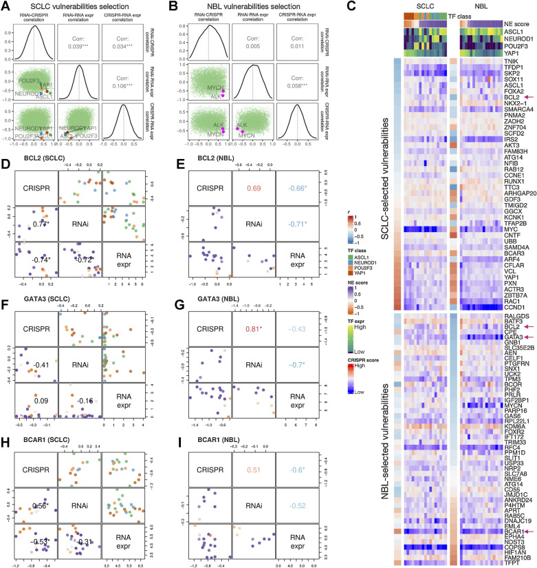 Figure 7. Similar and distinct NE score–associated gene dependencies in SCLC and neuroblastoma cell lines. Selection of SCLC (A) and neuroblastoma (B) vulnerabilities based on the consistency (positive correlation) between CRISPR and RNAi data, and anticorrelation between dependency data and gene expression data. Pearson correlation coefficients from RNAi-CRISPR (left), RNAi-RNA expr (middle), and CRISPR-RNA expr (right) correlations were computed for all genes. The distributions of these coefficients are plotted as diagonal panels; pairwise correlations among these three sets of correlation coefficients were visualized as scatter plots in the lower triangular panels and the Pearson correlation coefficients are printed in the upper triangular panels. The four SCLC subtype driver TFs and the neuroblastoma oncogenic driver MYCN all have high consistency between CRISPR and RNAi data and high anticorrelation between dependency data and gene expression data. Areas with r > 0.4 from RNAi-CRISPR correlation, and r < −0.4 from RNAi-RNA expr and CRISPR-RNAi correlation were demarcated by light gray squares. C, Correlation between NE scores and effect scores of selected dependencies in SCLC and neuroblastoma. The upper part of the heat map displays selected vulnerabilities for SCLC and was ordered by correlations between NE scores and the effect scores in SCLC cell lines; likewise, the lower part of the heat map displays selected vulnerabilities for neuroblastoma. Genes with magenta arrows are showcased in D–I. Cell lines are ordered by their NE scores and annotated with NE score and SCLC driver TF expression. D–I, Comparison of selected gene dependencies in SCLC and neuroblastoma. In each plot, variable names are shown in the diagonal boxes, and scatter plots display relationships between each pairwise combination of variables. Lower triangular plots are colored by NE scores whereas upper triangular plots for SCLC figures are colored by TF classes. Pearson correlation coefficients are provided in lower triangular boxes for SCLC and upper triangular boxes for neuroblastoma. Refer to legends in C for color annotations.