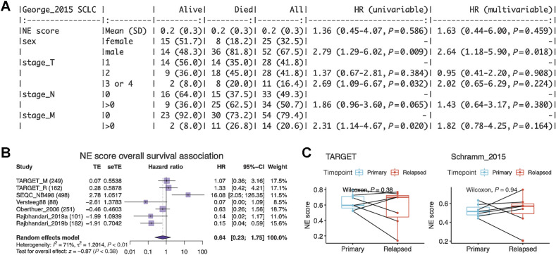 Figure 3. NE score is not associated with overall survival in SCLC or neuroblastoma. A, Survival association analysis for SCLC based on 79 patients from the George_2015 study. NE score is not significantly associated with overall survival in univariate Cox regression or a multivariate model controlling for sex and TNM stage. B, Meta-analysis for neuroblastoma based on seven studies and 1,531 patients. The result is also not statistically significant although significant results could be observed for individual studies, the trend was different. C, NE scores are not significantly altered in neuroblastoma relapsed samples. Paired samples from the same patients in two independent studies were compared.