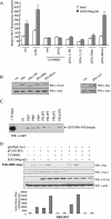 FIG.3.