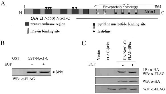 FIG. 5.