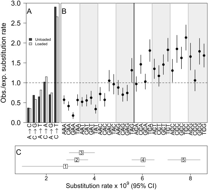 Fig 2