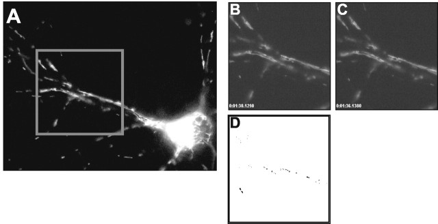 Figure 2.