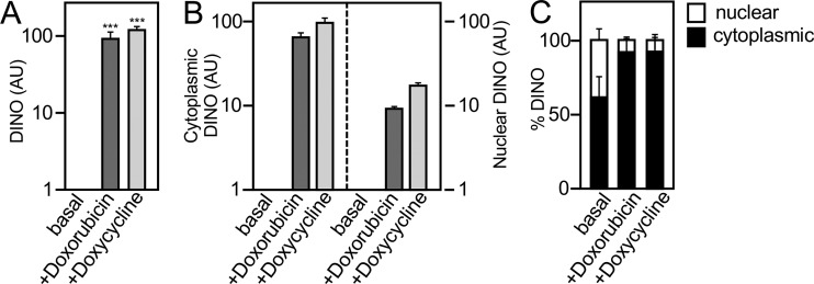 FIG 2