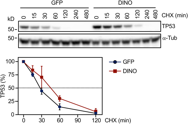 FIG 4