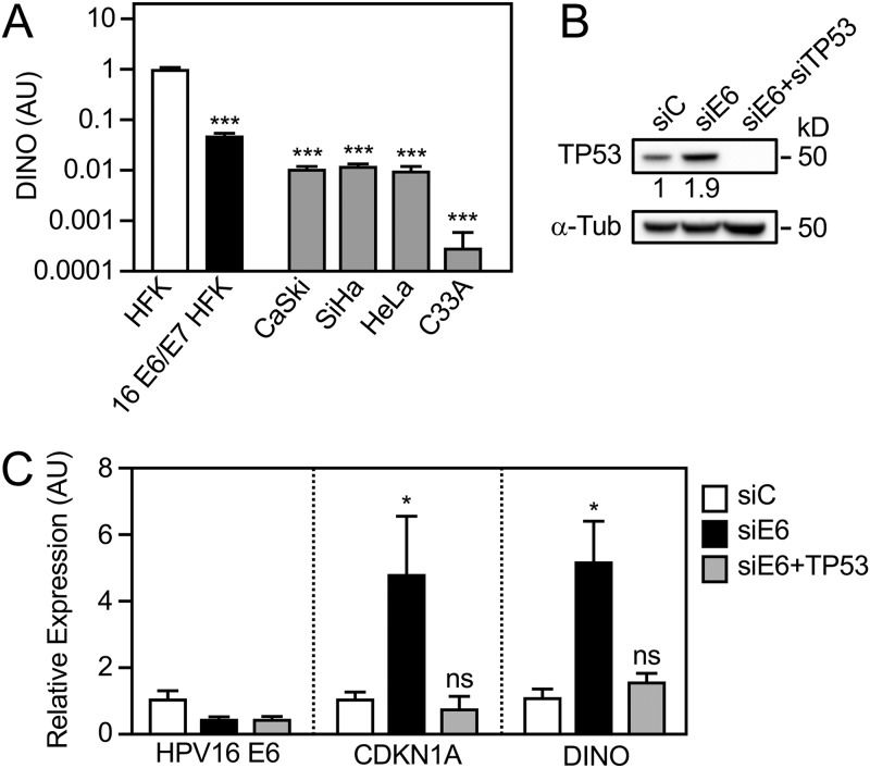 FIG 1