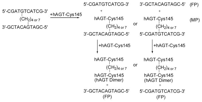 Scheme 2