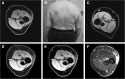 <b>FIG. 1.</b>