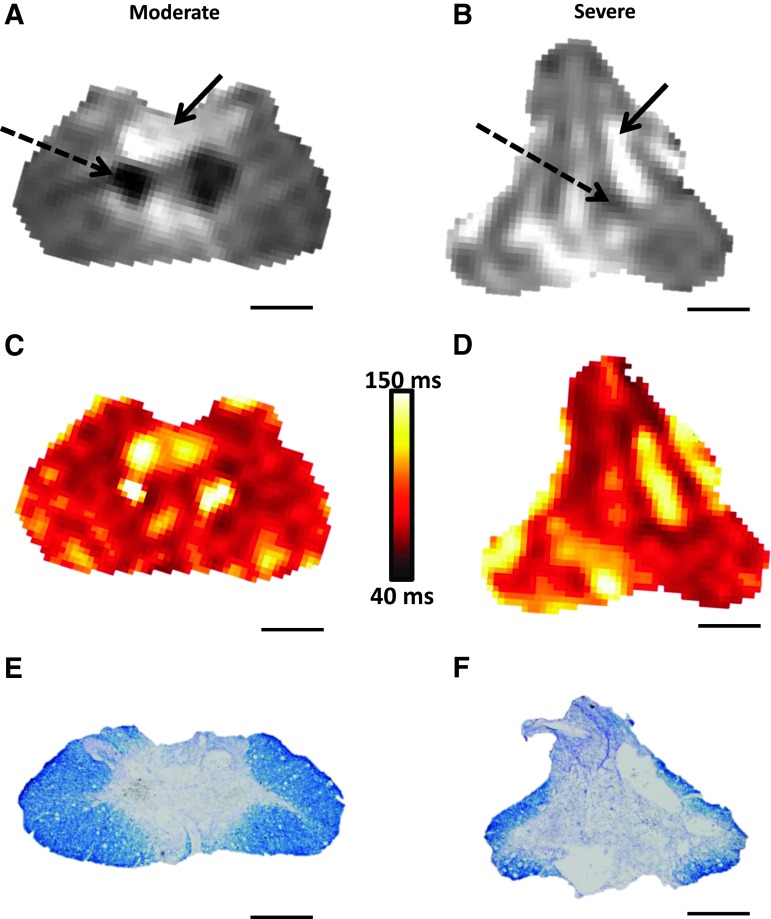 FIG. 4.