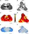 <b>FIG. 4.</b>