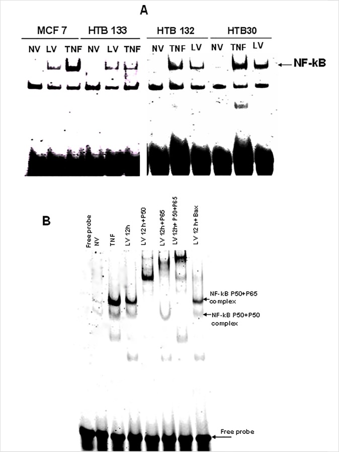 Fig 4