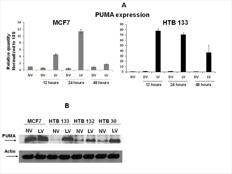 Fig 7