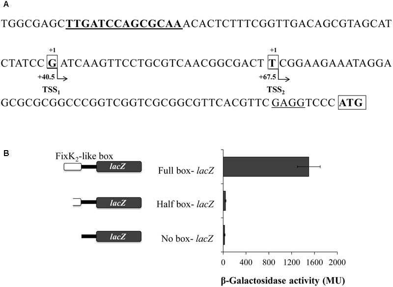 FIGURE 2