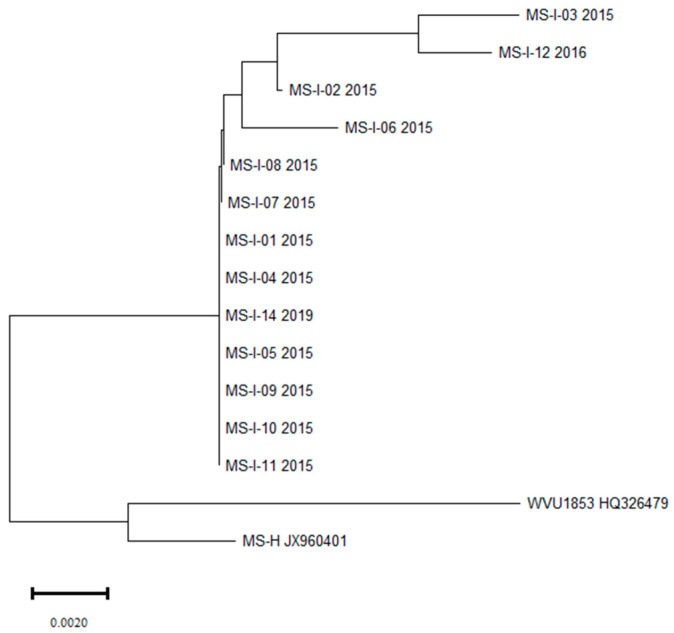 Figure 2