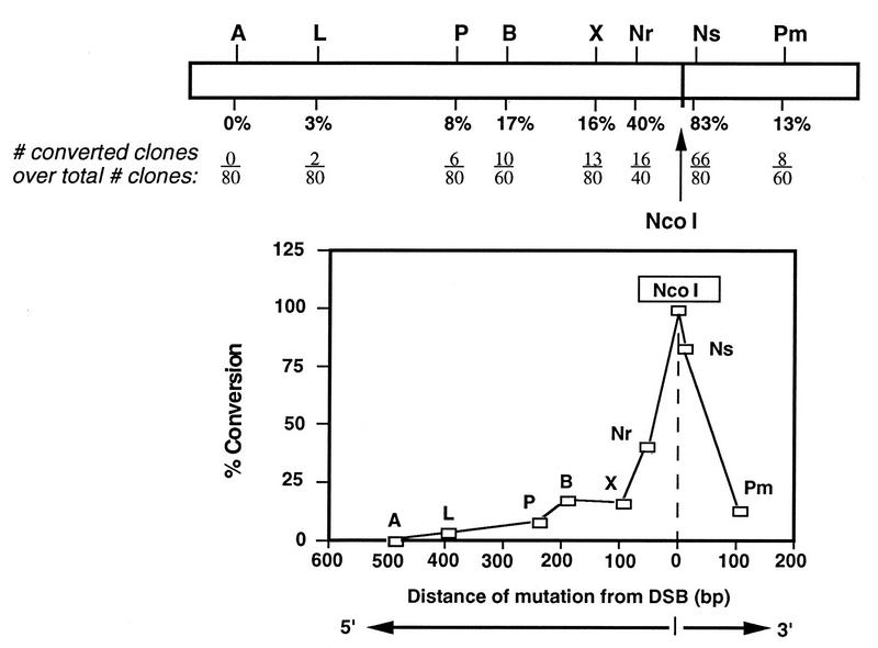 FIG. 6