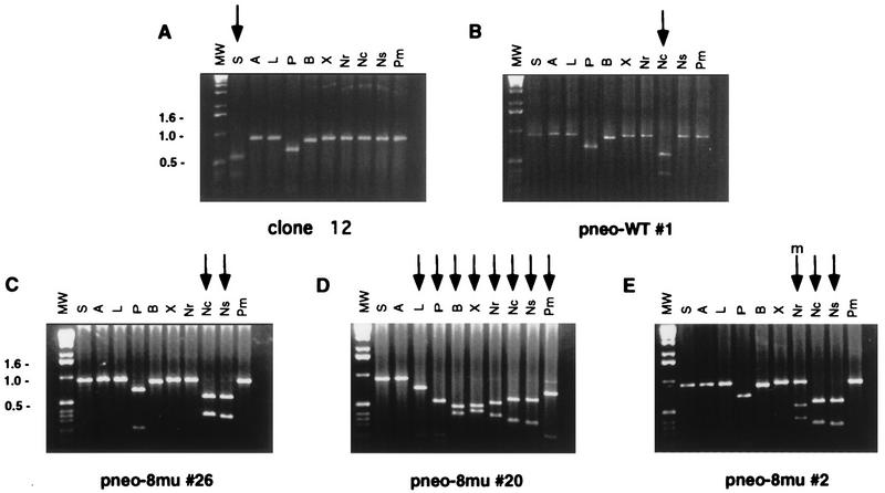 FIG. 4