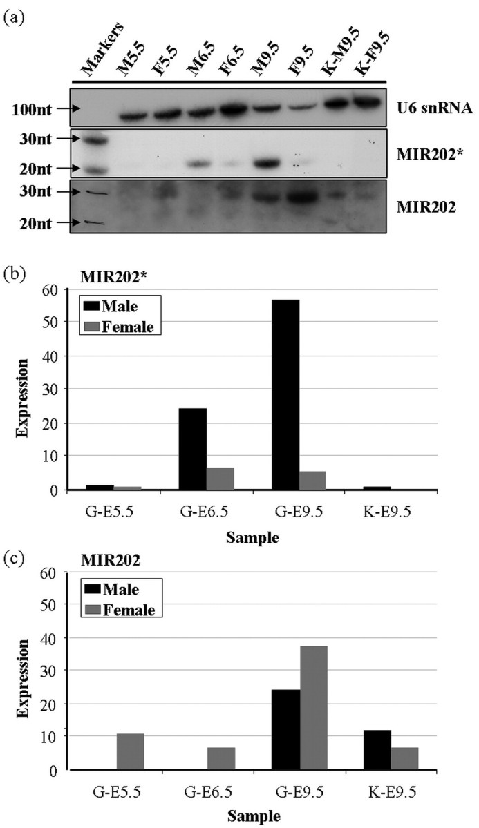 FIG. 6.