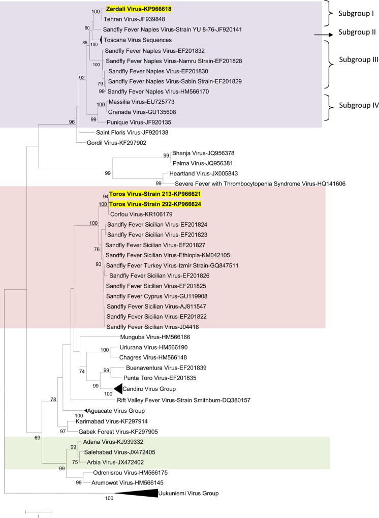 Fig 6