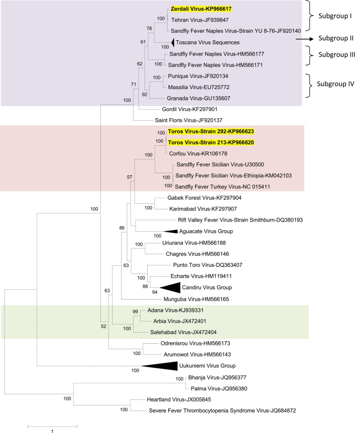 Fig 3