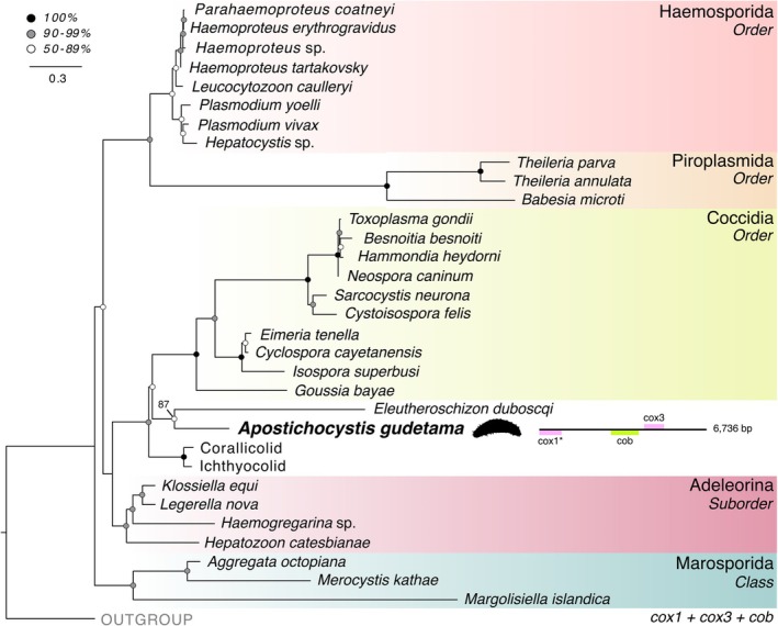 FIGURE 2