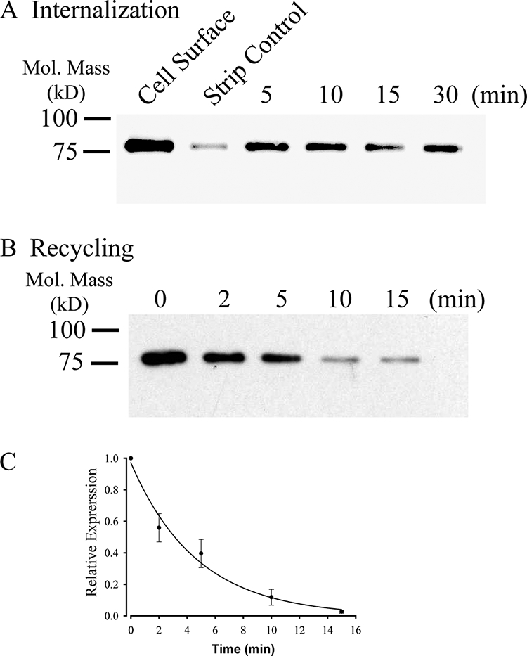 FIGURE 3.