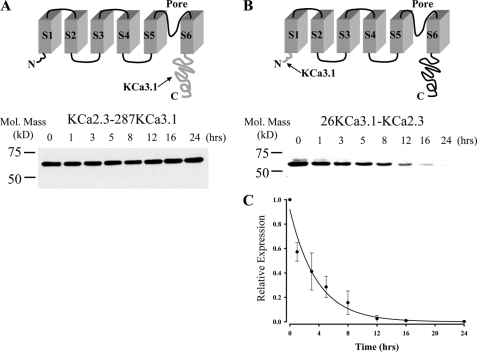 FIGURE 10.