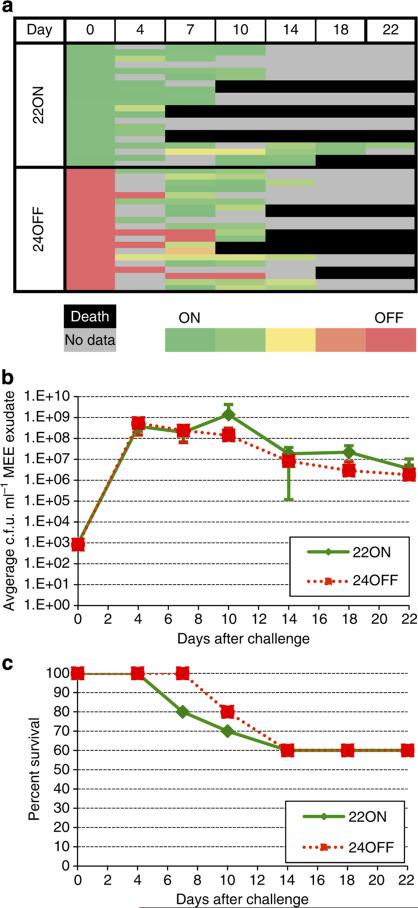 Figure 5