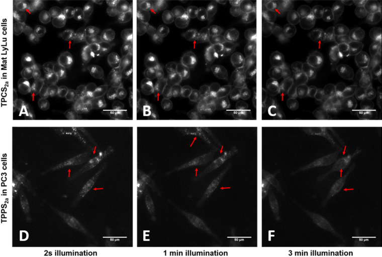 Fig. 4