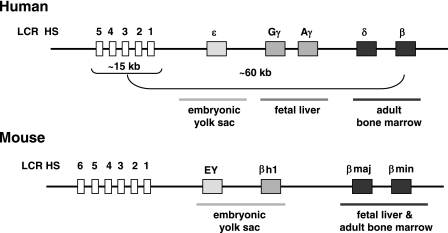 FIG. 1.