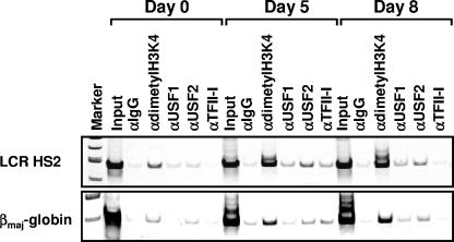 FIG. 7.