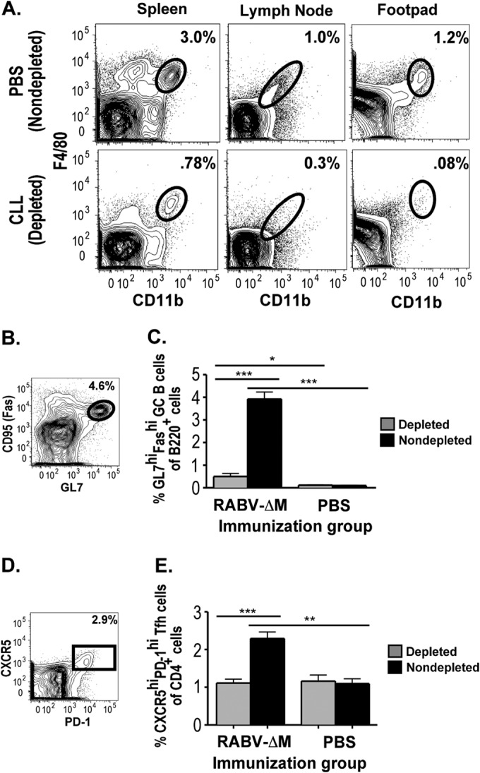 FIG 3