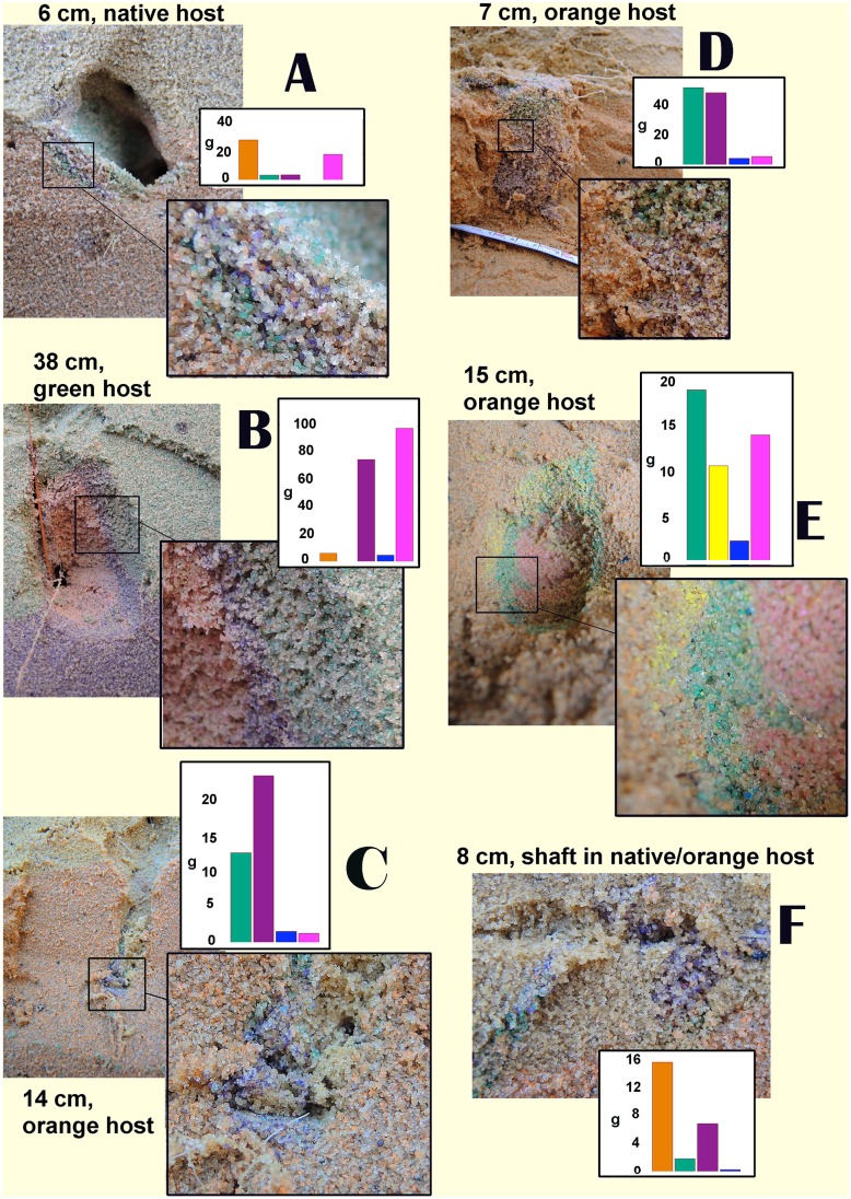 Fig 3