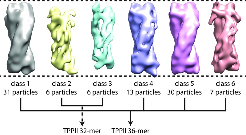 Fig. S6.