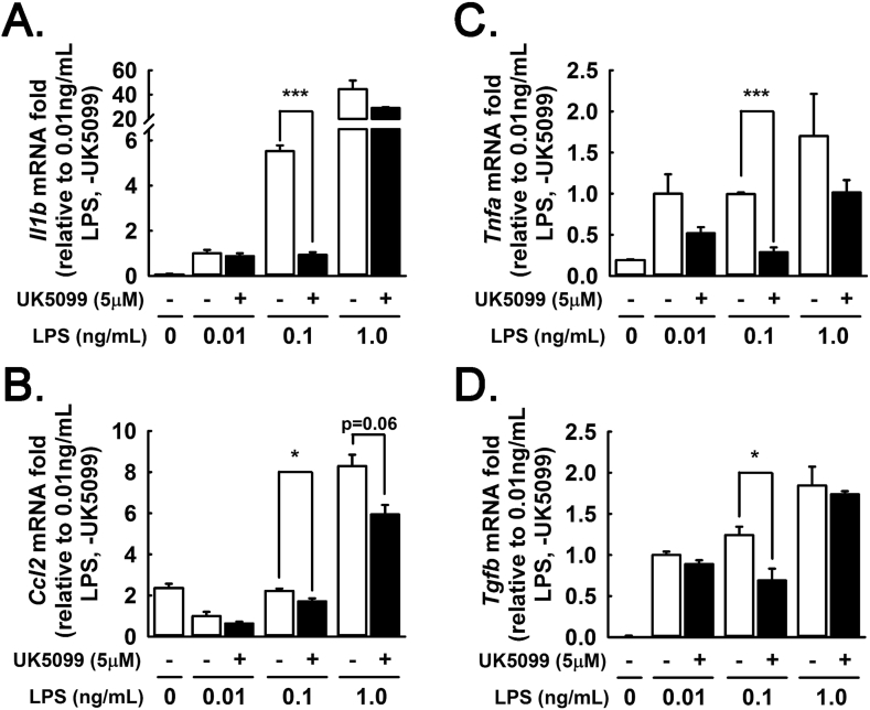 Figure 6