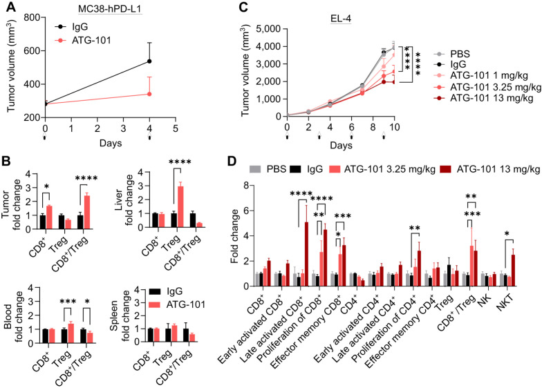 Figure 4. ATG-101 enhances the antitumor immunity in the TME. A, Growth curves of MC38-hPD-L1 colon tumors treated with IgG or ATG-101 on day 0 and day 4, as indicated by arrow. B, Normalized CD8+ T-cell and Treg number in tumor, liver, blood, and spleen from A. Forty-eight hours after the last administration, the samples were collected. Fold change indicates ATG-101 treatment group versus mean value of IgG control group. C, Growth curves of EL4 T-cell lymphoma. When the tumor size reached about 71 mm3, the mice (n = 8) were grouped and treated with PBS, IgG, or ATG-101. D, Normalized TIL analysis results from tumors from C. The makers used to classify the cell subsets in flow cytometry analysis are summarized in Supplementary Table S2. Fold change indicates IgG or ATG-101 treatment group versus mean valve of PBS group. Means ± SEM are shown. *, P < 0.05; **, P < 0.01; ***, P < 0.001; ****, P < 0.0001 by two-way ANOVA. In the tumor growth curves, only P values on the last day are shown.