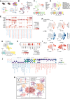Figure 6. Single-cell transcriptomic analysis of TILs of IgG or ATG-101–treated MC38 tumors. A, Scheme of the study. B, The two-dimensional UMAP embedding plot of all TILs labeled by treatment groups. C, The two-dimensional UMAP embedding plot of 11 identified main cell types in TILs. The relative proportions of each cell type across two different treatment groups are calculated and shown below. D, The two-dimensional UMAP embedding plot of T cells colored by T-cell subtypes. The relative proportions of each subtype across two different treatment groups are calculated and shown below. E, Dot plot of key genes in T-cell subtypes across two treatment groups. F, Scatter plots showing cytotoxicity score and 4-1BB expression of T cells, projecting on the UMAP plot. Cytotoxicity score was calculated on the basis of the expression of Gzma, Gzmb, Gzmk, Prf1, Nkg7, Ifng, and Il2. G, The two-dimensional UMAP embedding plot of DCs colored by DC subtypes. The relative proportions of each subtype across two different treatment groups are calculated and shown below. H, Dot plot of key genes in DC across two treatment groups. I, Scatter plots showing expression of PD-L1 in DCs, projecting on the UMAP plot. J, Dot plots of significant interactions between DC and T cells detected by Cellphone DB. Dark blue, significant interactions specifically detected in G1; light blue, significant interactions detected in both G1 and G2, while expression of interaction pairs decreased in G2; light red, significant interactions detected in both G1 and G2, while expression of interaction pairs increased in G2; dark red, significant interactions specifically detected in G2. K, Predicted mechanism of ATG-101.