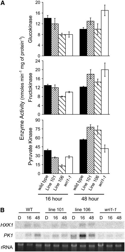 Figure 6.