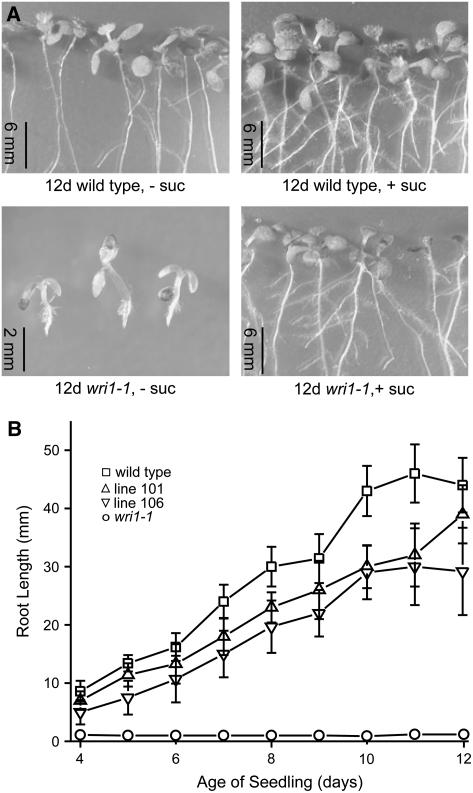 Figure 7.