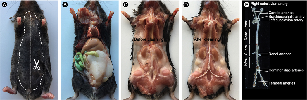 Figure 2.