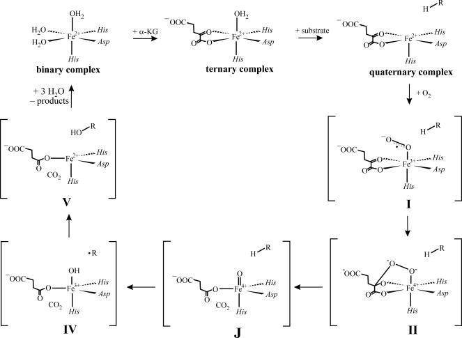 Scheme 1.