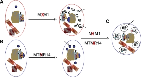 Figure 10.