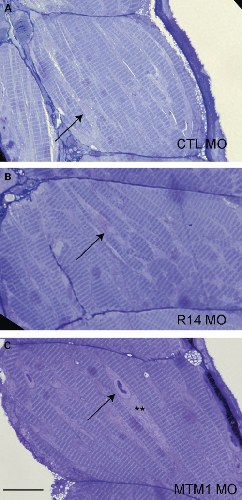 Figure 4.