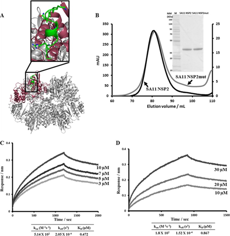 FIG 10