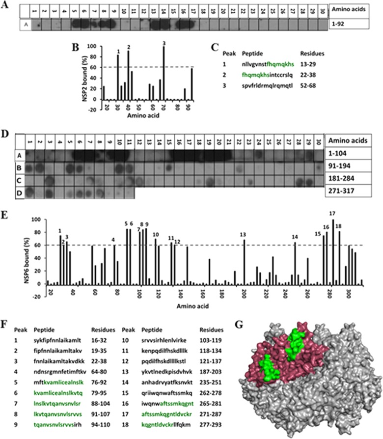 FIG 9