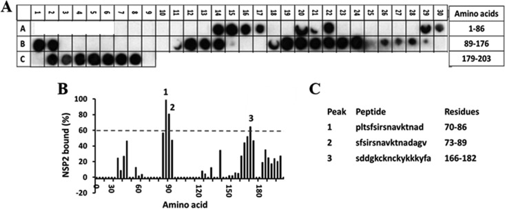 FIG 2