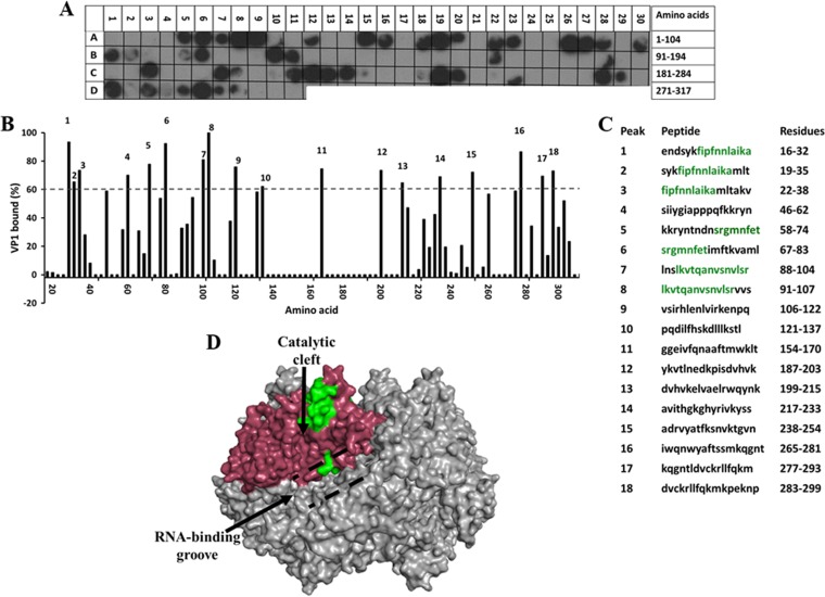 FIG 4