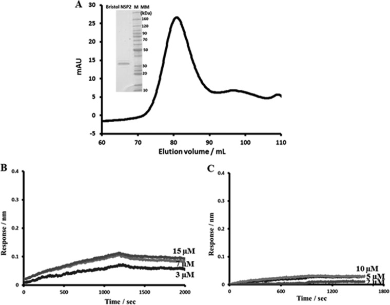 FIG 11