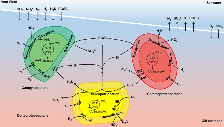 FIG 5