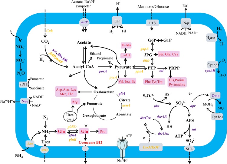 FIG 3