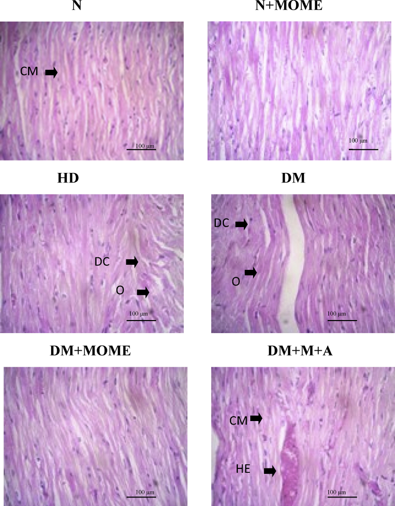 Figure 5